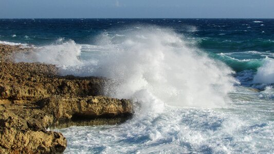 Rocky coast wild cyprus photo