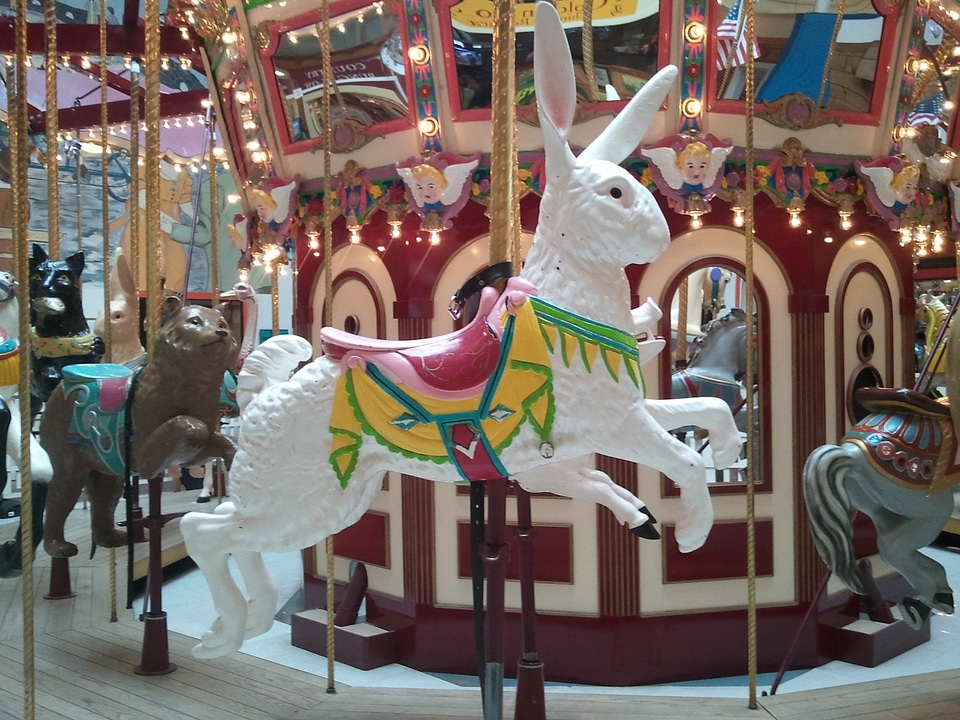 Amusement rides carnival