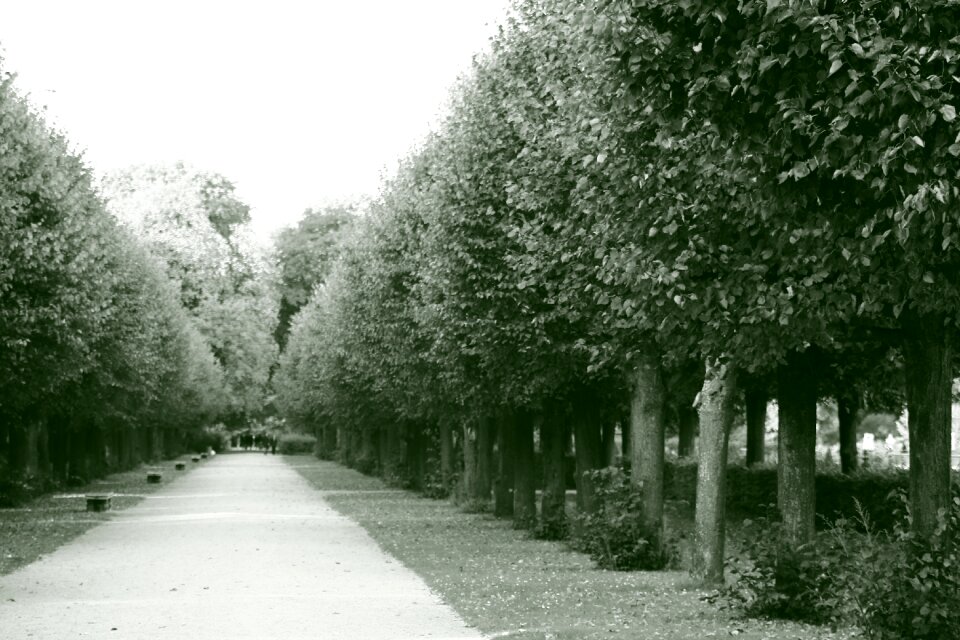 Nature outdoor activities castle