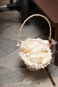 Wedding petals rose