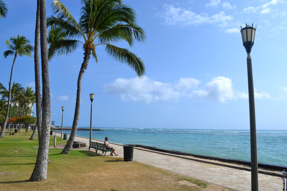Lifestyle travel hawaiian