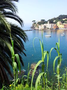 Summer bay italy