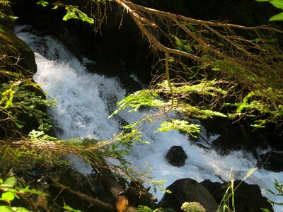 Nature river cano
