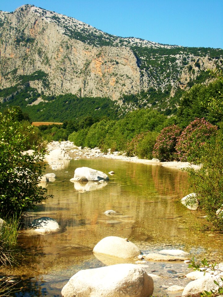Vegetation rock italy