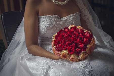 Flowers bouquet petals photo