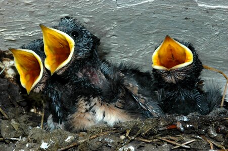 Cute family
