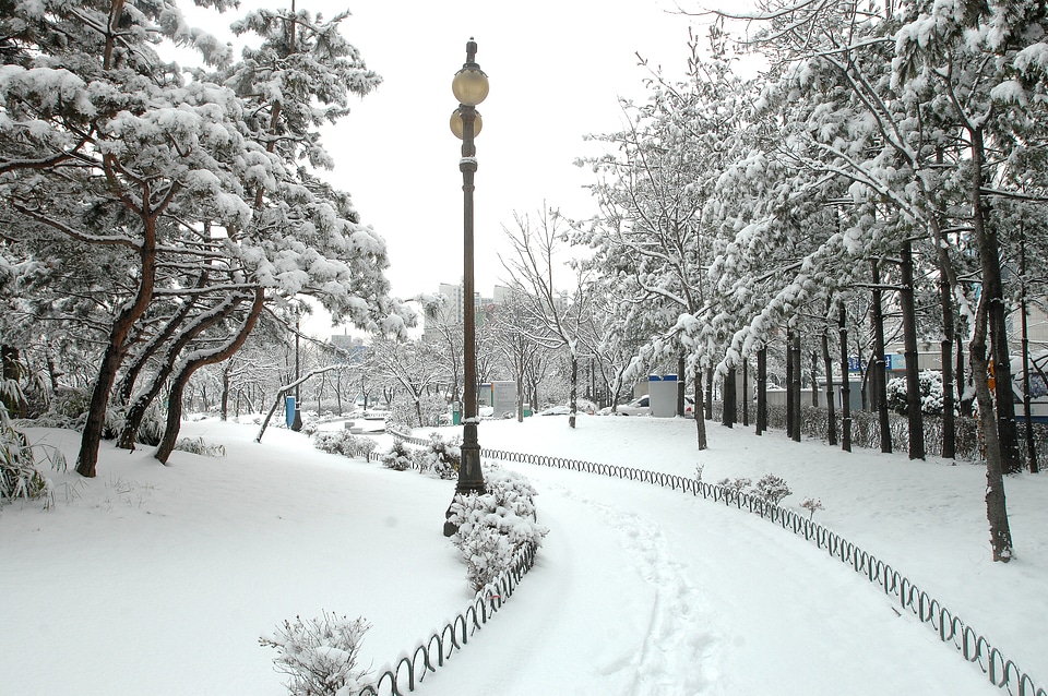 Hanam city hanam city hall winter landscapes