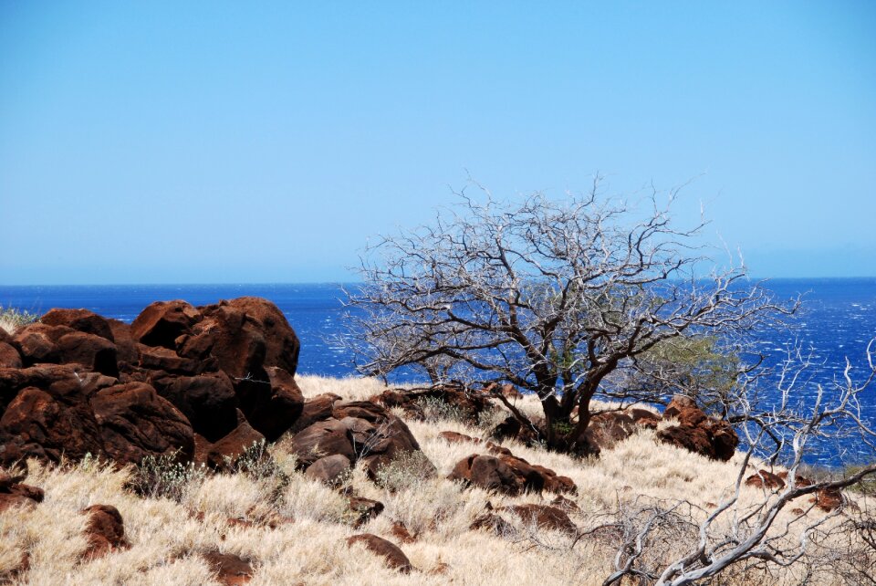 Hawaiian water outdoor