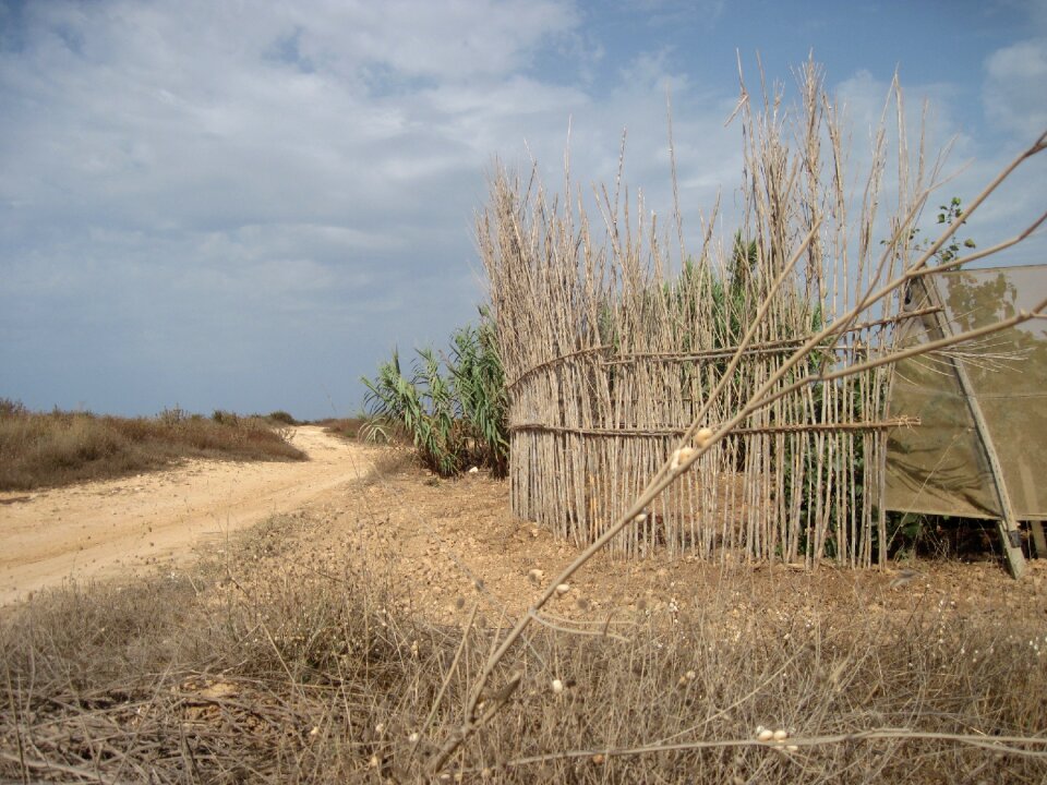Dune landscape protection wind protection