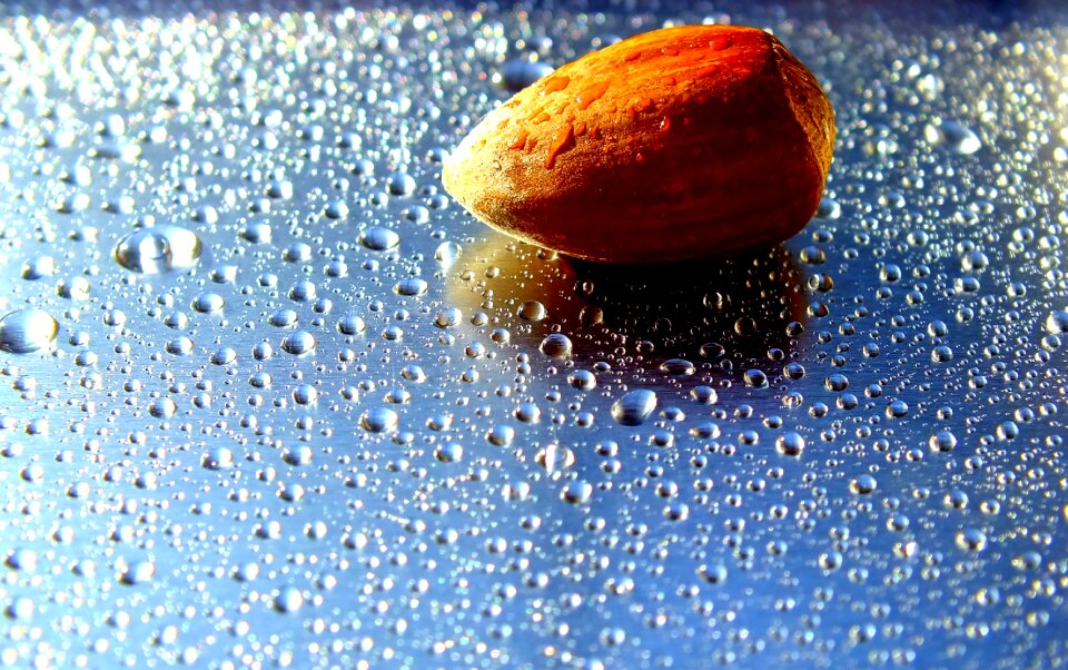 Drops the background closeup