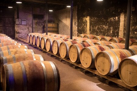 Wine barrels keller wooden barrels photo