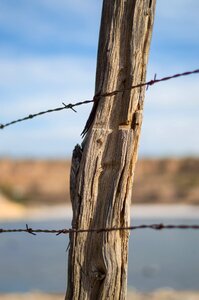 Fence post stacheldrat wood