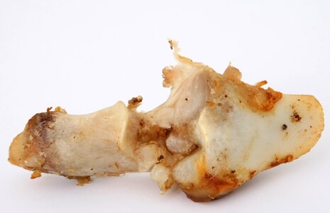 Bone canine chew
