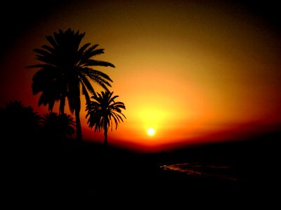 Vacations abendstimmung palm