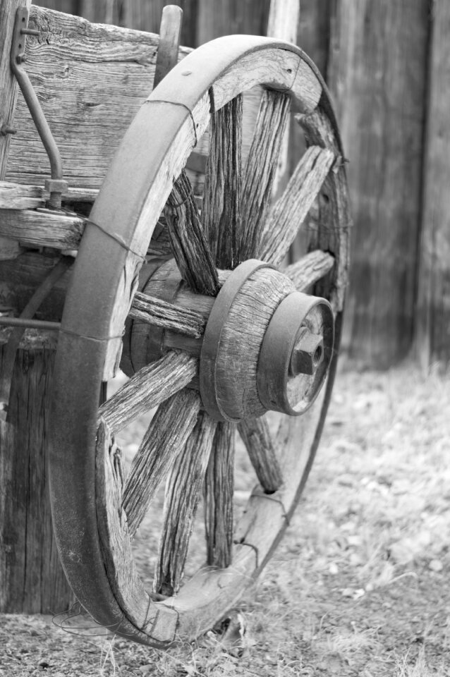 Old black white wood