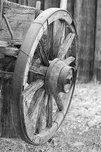 Old black white wood photo