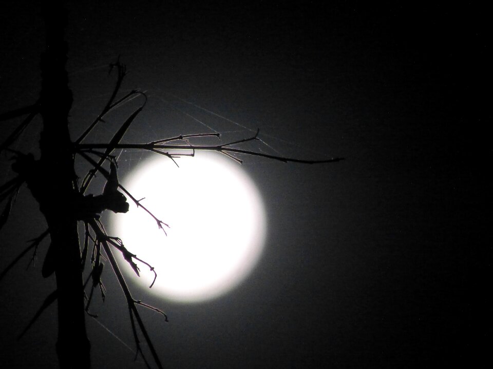 Moon shadow light
