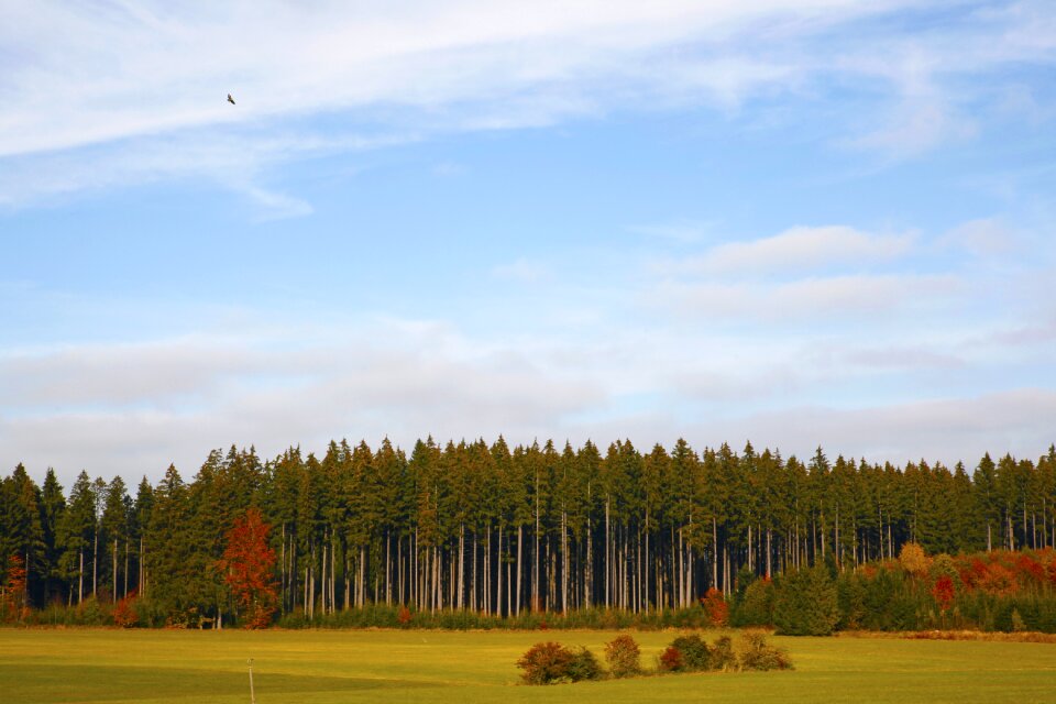 Field nature autumn