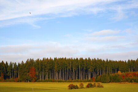 Field nature autumn photo