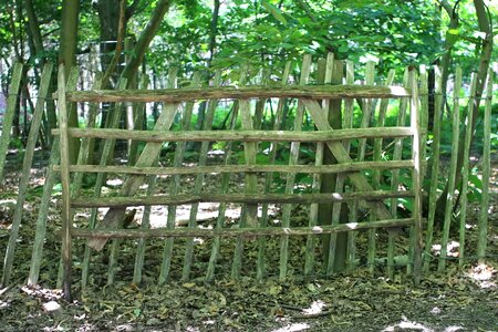 Forest gate gateway photo