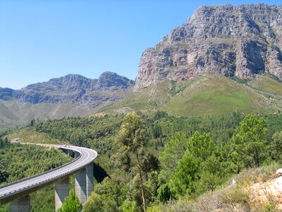 Bridge bush canyon photo