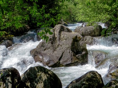 River waterfall bach photo