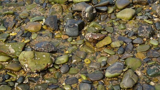 Floor organization small stones