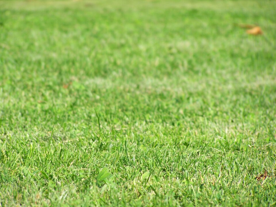 Environment soil green