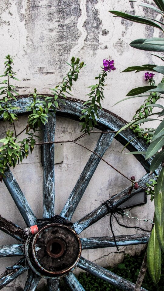 Yard wheel rural