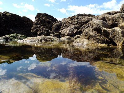 Shore landscape pool