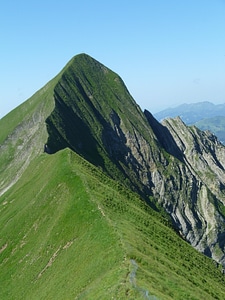Summer alpine grasberg