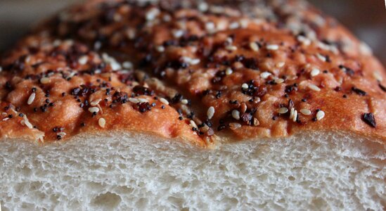 Poppy seed encrusted health photo