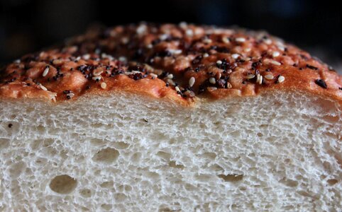 Poppy seed encrusted health photo