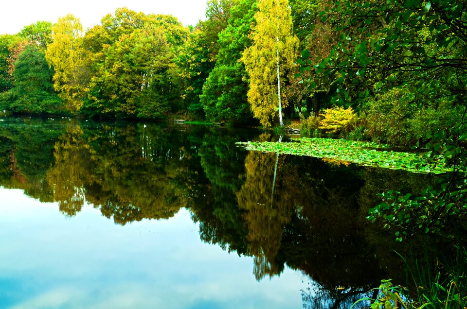 Nature water view