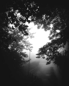 Street lamp fog black and white photo