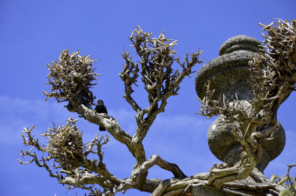 Vase blue sky travel