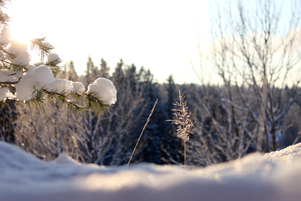 Frost sky landscape
