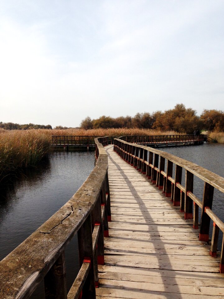 Natural park nature reserve national parks