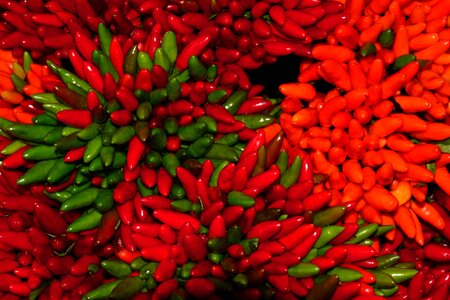 Cooking green healthy