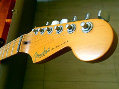 Guitar split stratocaster photo