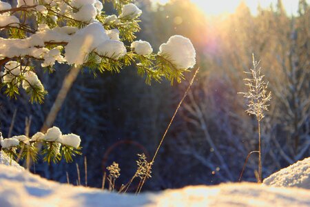 Finnish frost sky photo