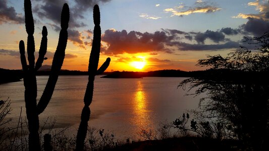 Rays of sunshine horizon sunset photo