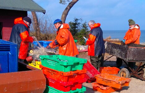 Baltic sea oilskin red fish boxes photo