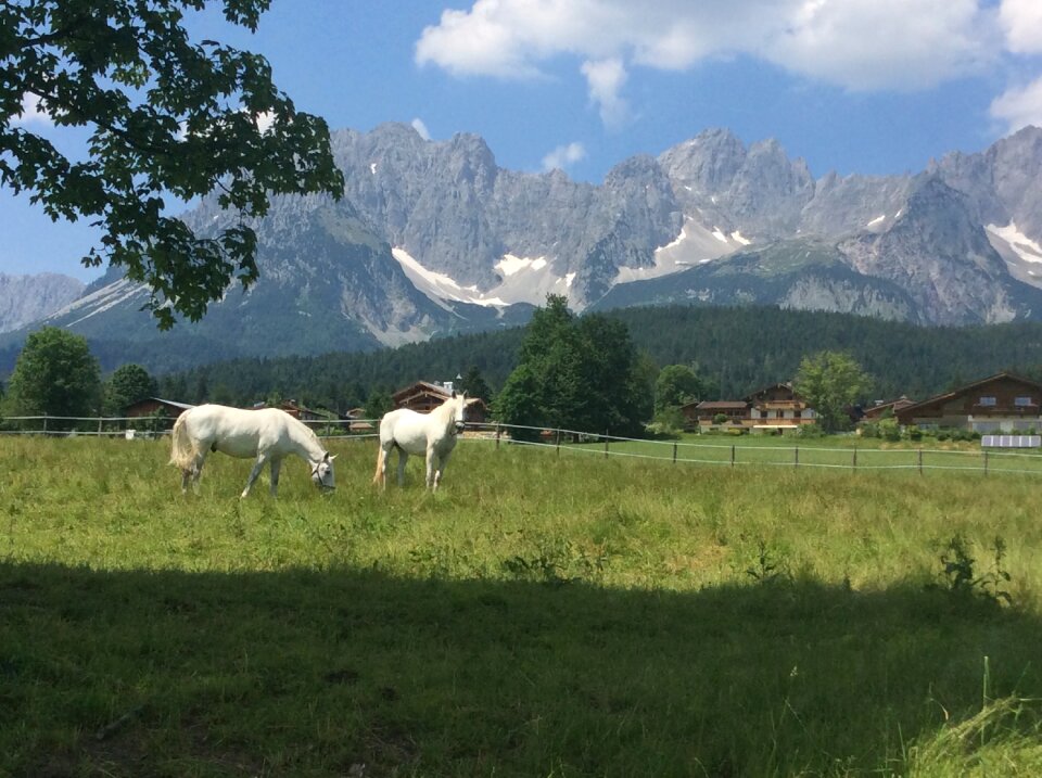 Mountains nature pasture