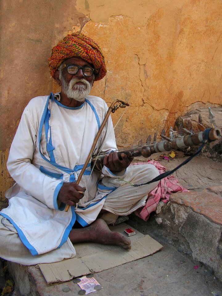Musician musical instrument instrument