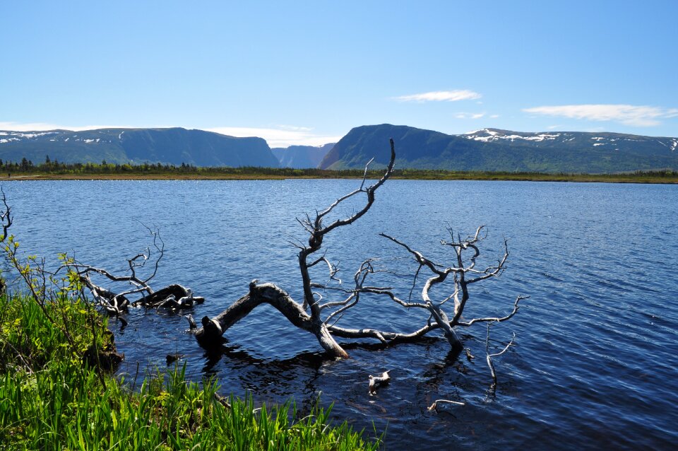 Nature landscape water
