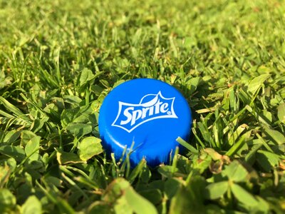 Lid cap grass
