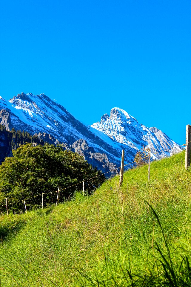 Mountain switzerland alps