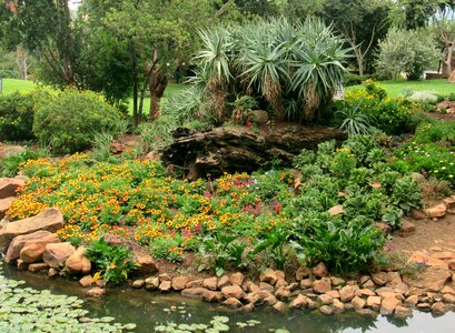 Pond river rocks