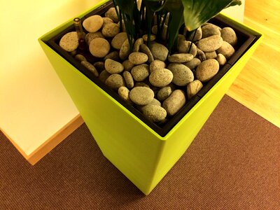 Planters stones decoration